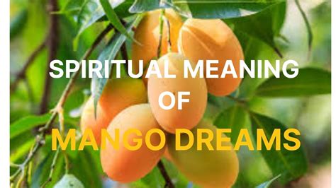 Meaning of manghipo .